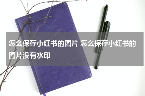 怎么保存小红书的图片 怎么保存小红书的图片没有水印