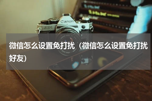 微信怎么设置免打扰（微信怎么设置免打扰好友）