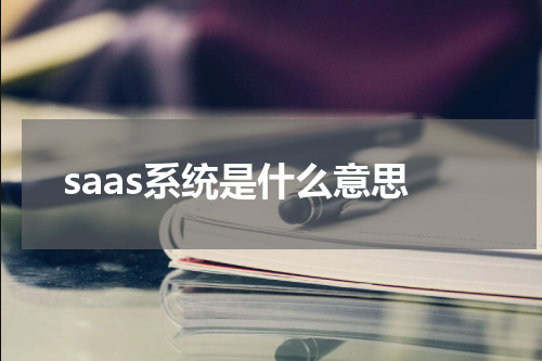 saas系统是什么意思