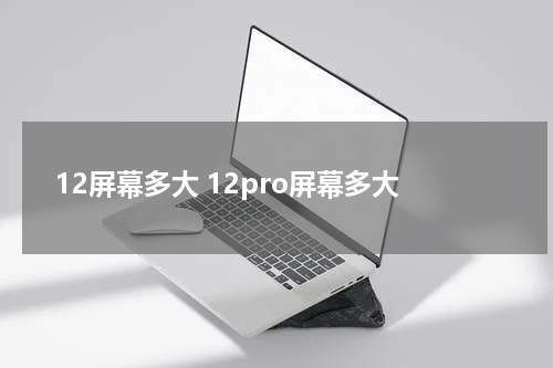 12屏幕多大 12pro屏幕多大