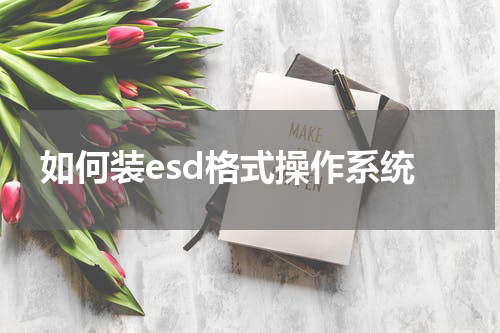 如何装esd格式操作系统