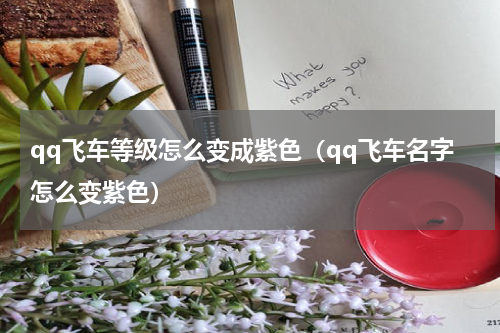 qq飞车等级怎么变成紫色（qq飞车名字怎么变紫色）