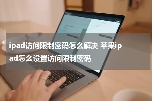 ipad访问限制密码怎么解决 苹果ipad怎么设置访问限制密码