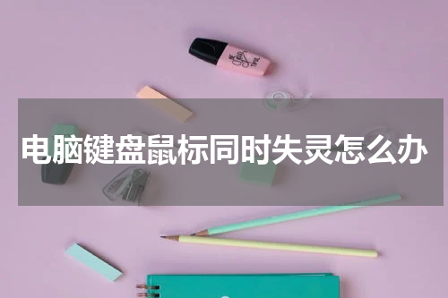 电脑键盘鼠标同时失灵怎么办