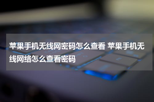 苹果手机无线网密码怎么查看 苹果手机无线网络怎么查看密码