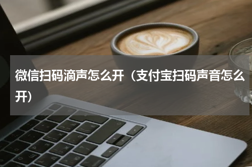微信扫码滴声怎么开（支付宝扫码声音怎么开）