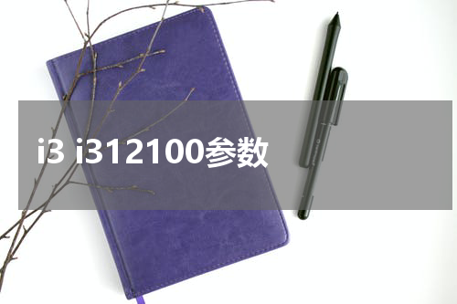 i3 i312100参数