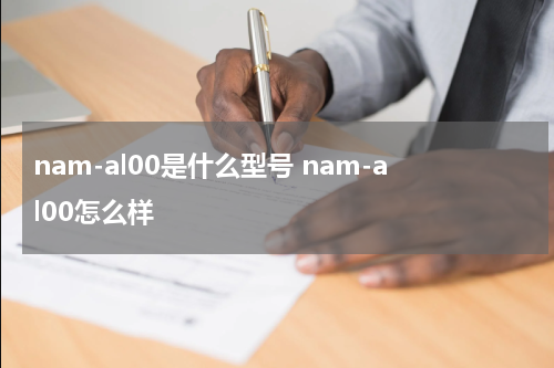 nam-al00是什么型号 nam-al00怎么样