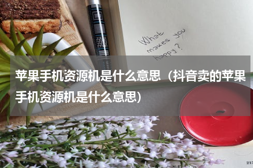 苹果手机资源机是什么意思（抖音卖的苹果手机资源机是什么意思）