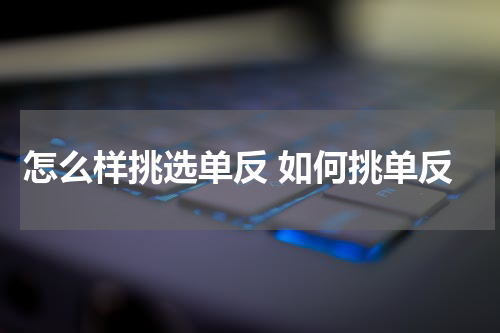 怎么样挑选单反 如何挑单反