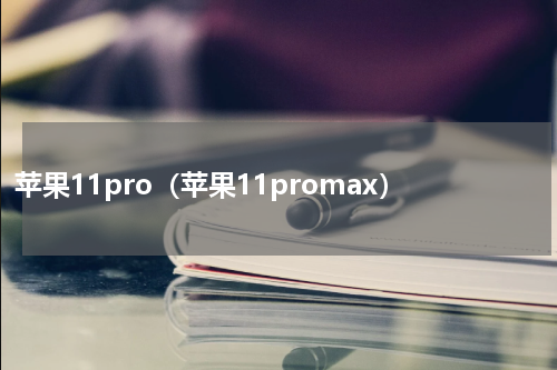 苹果11pro（苹果11promax）