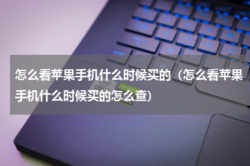 怎么看苹果手机什么时候买的（怎么看苹果手机什么时候买的怎么查）