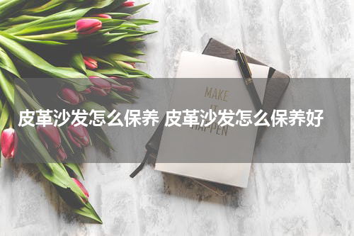 皮革沙发怎么保养 皮革沙发怎么保养好