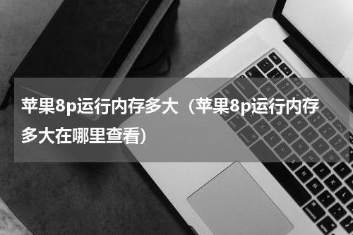 苹果8p运行内存多大（苹果8p运行内存多大在哪里查看）