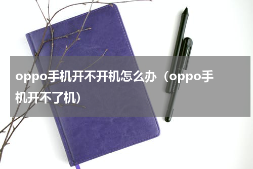 oppo手机开不开机怎么办（oppo手机开不了机）