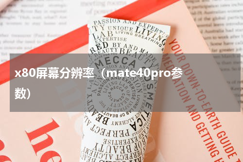 x80屏幕分辨率（mate40pro参数）