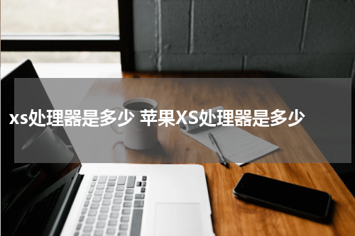 xs处理器是多少 苹果XS处理器是多少