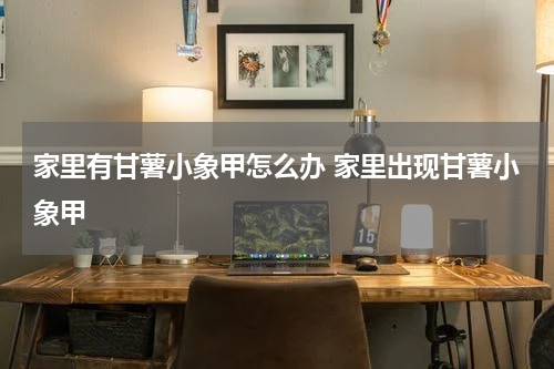 家里有甘薯小象甲怎么办 家里出现甘薯小象甲