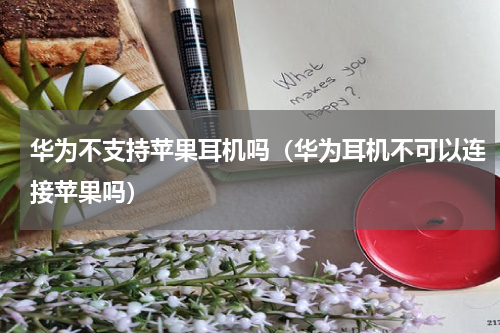 华为不支持苹果耳机吗（华为耳机不可以连接苹果吗）