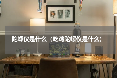 陀螺仪是什么（吃鸡陀螺仪是什么）