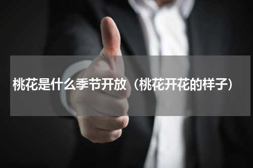 桃花是什么季节开放（桃花开花的样子）