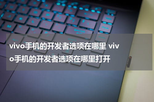 vivo手机的开发者选项在哪里 vivo手机的开发者选项在哪里打开