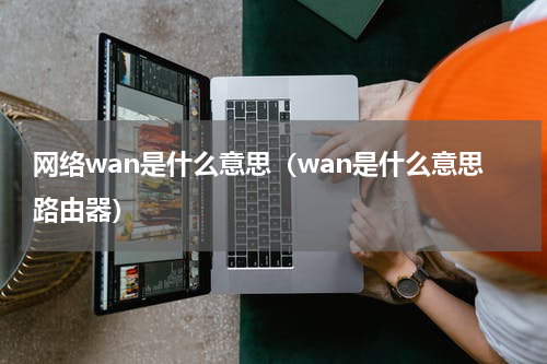 网络wan是什么意思（wan是什么意思路由器）