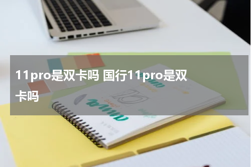 11pro是双卡吗 国行11pro是双卡吗