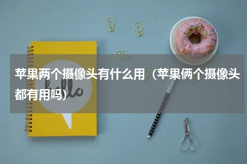苹果两个摄像头有什么用（苹果俩个摄像头都有用吗）