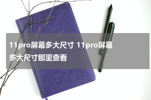11pro屏幕多大尺寸 11pro屏幕多大尺寸那里查看