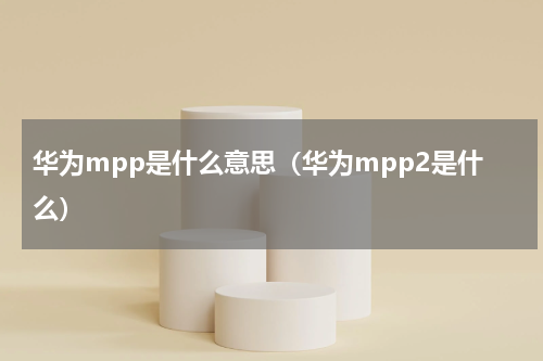华为mpp是什么意思（华为mpp2是什么）