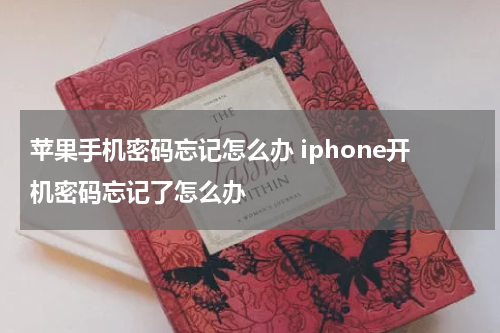 苹果手机密码忘记怎么办 iphone开机密码忘记了怎么办
