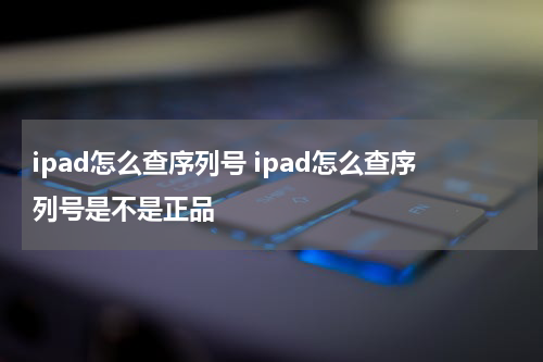 ipad怎么查序列号 ipad怎么查序列号是不是正品