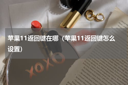 苹果11返回键在哪（苹果11返回键怎么设置）