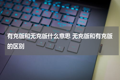 有充版和无充版什么意思 无充版和有充版的区别