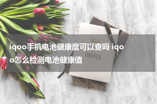 iqoo手机电池健康度可以查吗 iqoo怎么检测电池健康值
