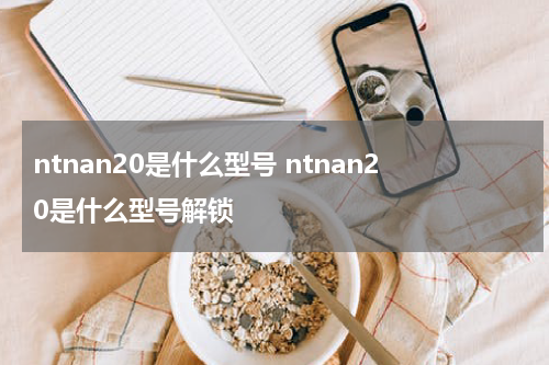 ntnan20是什么型号 ntnan20是什么型号解锁