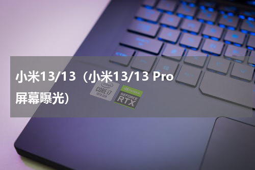 小米13/13（小米13/13 Pro屏幕曝光）