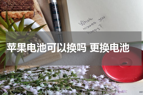 苹果电池可以换吗 更换电池