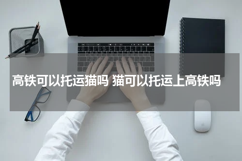 高铁可以托运猫吗 猫可以托运上高铁吗