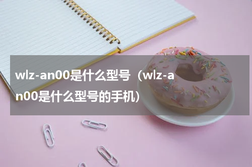 wlz-an00是什么型号（wlz-an00是什么型号的手机）