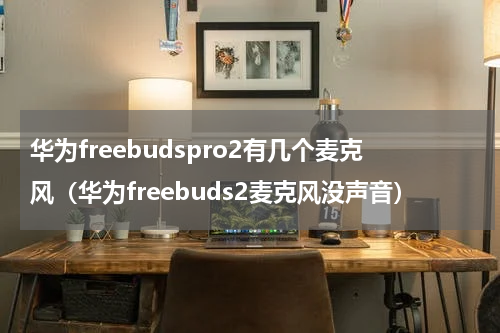 华为freebudspro2有几个麦克风（华为freebuds2麦克风没声音）