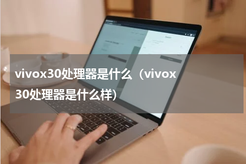 vivox30处理器是什么（vivox30处理器是什么样）