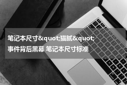 笔记本尺寸&quot;猫腻&quot;事件背后黑幕 笔记本尺寸标准