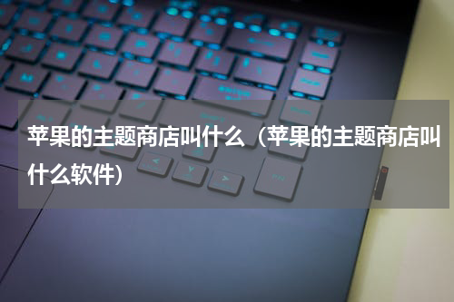 苹果的主题商店叫什么（苹果的主题商店叫什么软件）