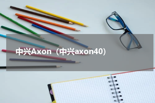 中兴Axon（中兴axon40）