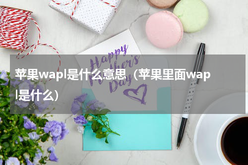 苹果wapl是什么意思（苹果里面wapl是什么）