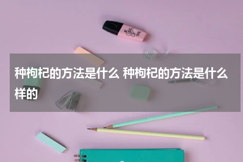 种枸杞的方法是什么 种枸杞的方法是什么样的