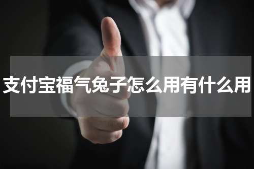 支付宝福气兔子怎么用有什么用