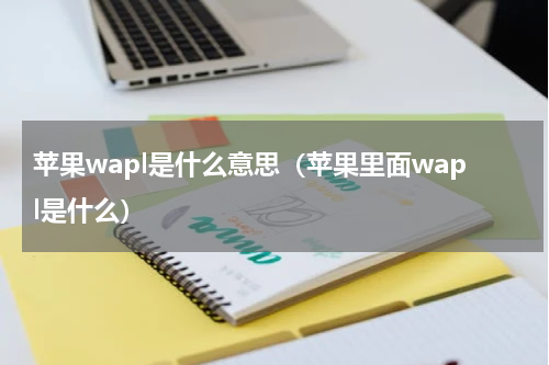 苹果wapl是什么意思（苹果里面wapl是什么）